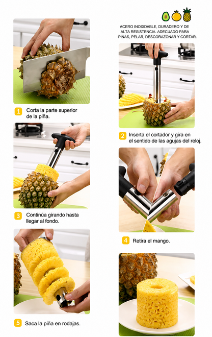 Removedor de pulpa de piña EasyExtracto